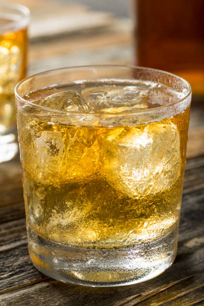 istock Refreshing Alcoholic Scotch and Soda 652119052