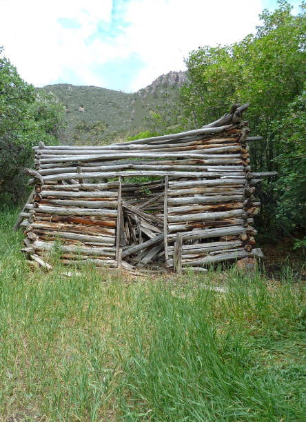 istock Abandoned log cabin in the wilderness 652124916