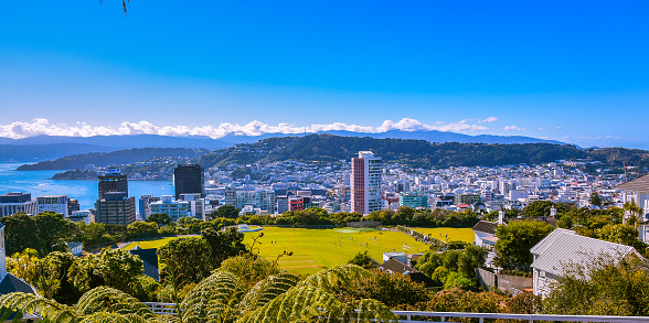 Uitzicht over Wellington vanaf de heuvel waarop het Cable Car Museum en de botanische tuin zijn gevestigd