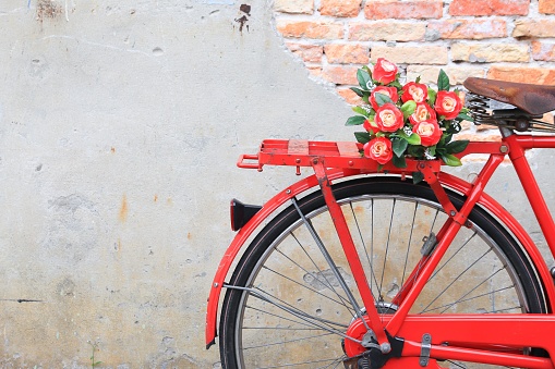 Closeup flower on saddle red bicycle  classic vintage