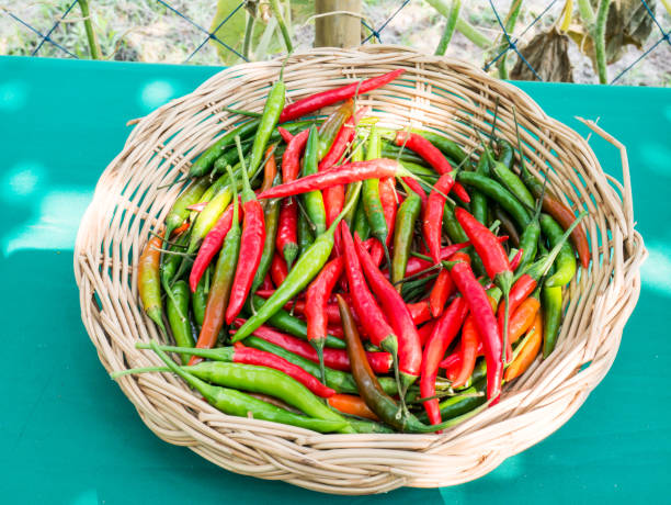 istock Red and green chili 652133860