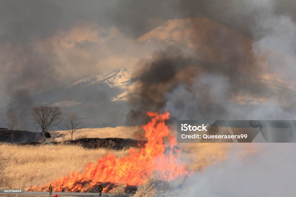 Burn off grass field Burn off grass field at Mt. Fuji in spring season.Burn off grass field at Mt. Fuji in spring season. Controlled Fire Stock Photo