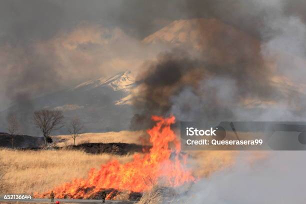 Burn Off Grass Field Stock Photo - Download Image Now - Controlled Fire, Deforestation, Fire - Natural Phenomenon