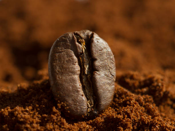 istock Single coffee bean on ground coffee with blurred background, extreme close up, macro 652147794