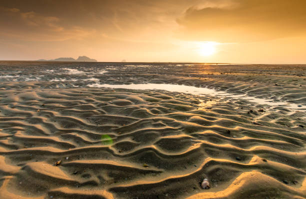 istock Beautiful sunset at tropical sea 652150306