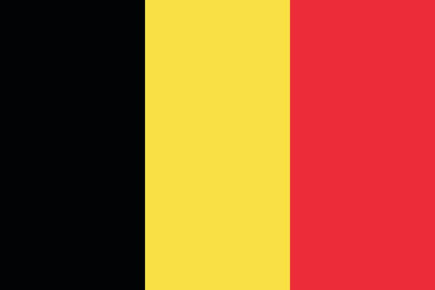 stockillustraties, clipart, cartoons en iconen met belgië - belgische vlag