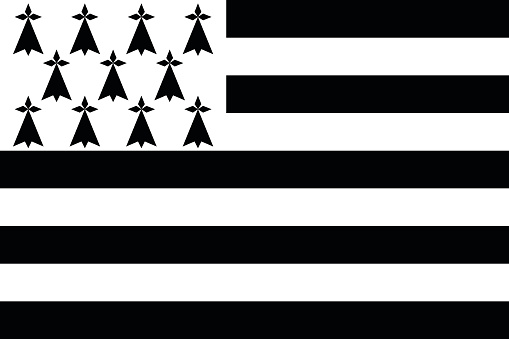 Vector of nice Brittany flag.