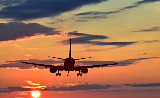 istock Silhouette of landing airplane at dawn 652152180