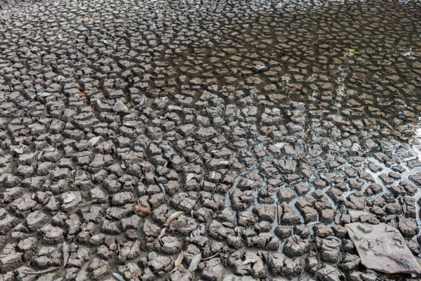 istock Dry ground waiting for water, Drought concept. 652152236