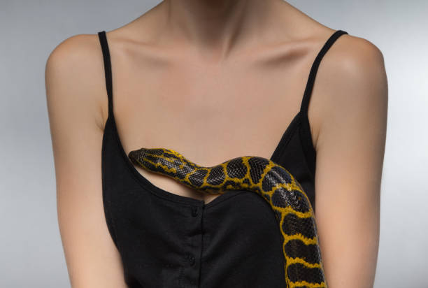 Woman and snake on her breast on gray background