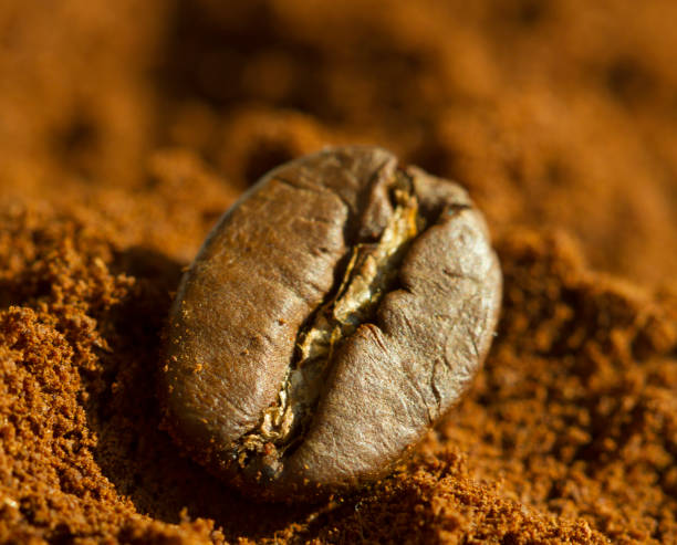 istock Single coffee bean on ground coffee with blurred background, extreme close up, macro 652161974