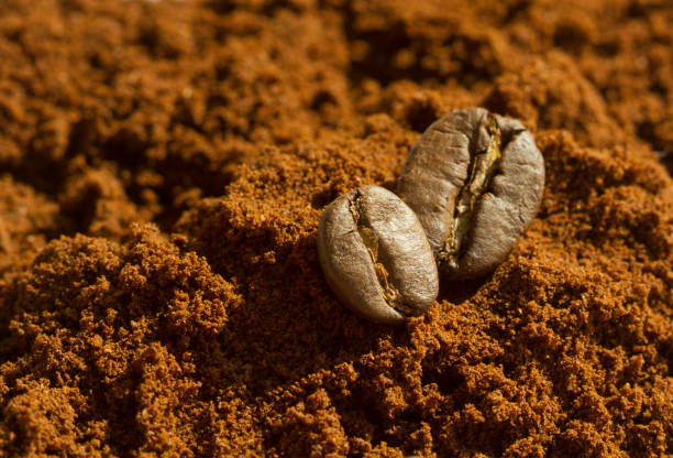 istock Two coffee beans on ground coffee with white background 652169168