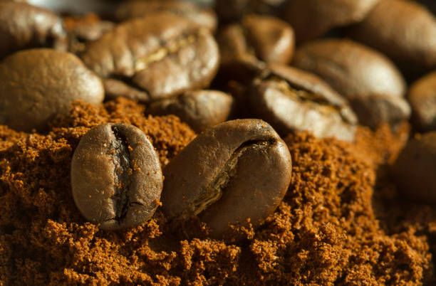 istock Two coffee beans on ground coffee with white background 652169232