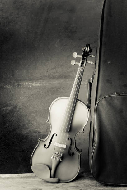 istock Vintage violin with old steel background 652172366