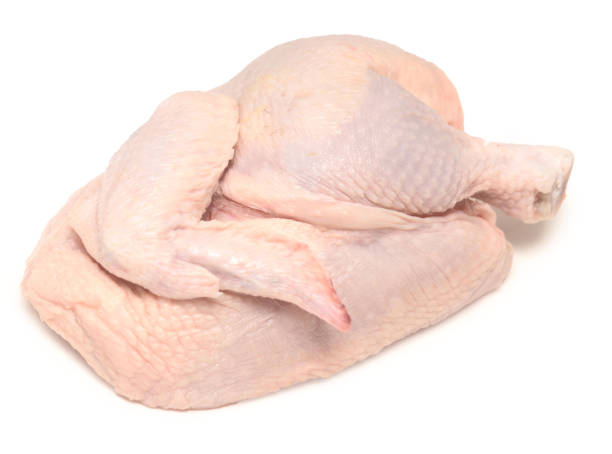 chicken stock photo