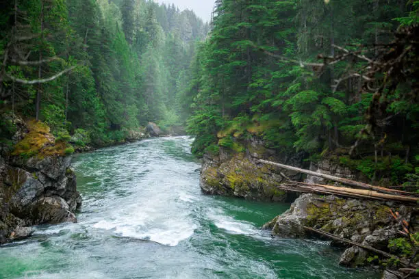 Photo of Seymour River in British Columbia