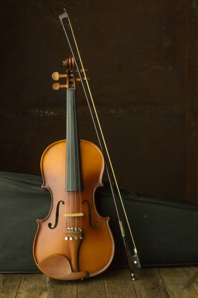 istock Vintage violin with old steel background 652173148