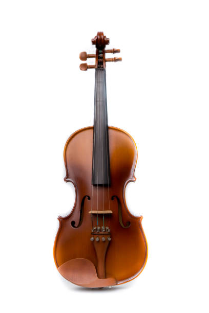istock Close up of a violin on white background 652176384
