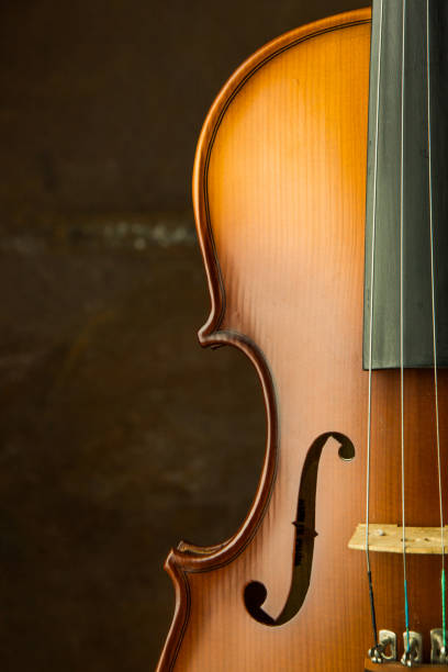 istock Vintage violin with old steel background 652177116