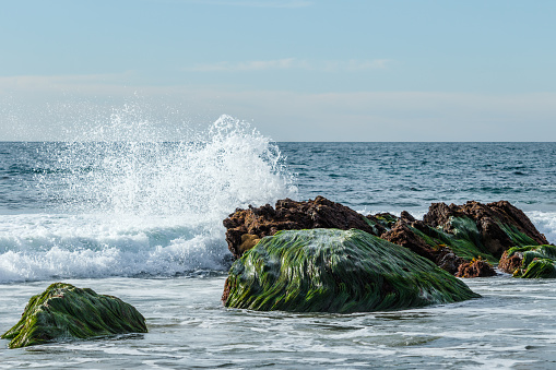 Waves breaking on rocks just offshore at Crystal Cove State Park in Laguna Beach, California. The low tide exposes the rocks covered with eelgrass, giving them a furry appearance.