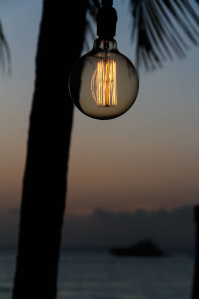 istock Retro light bulb against a palm tree at the beach. 652183684