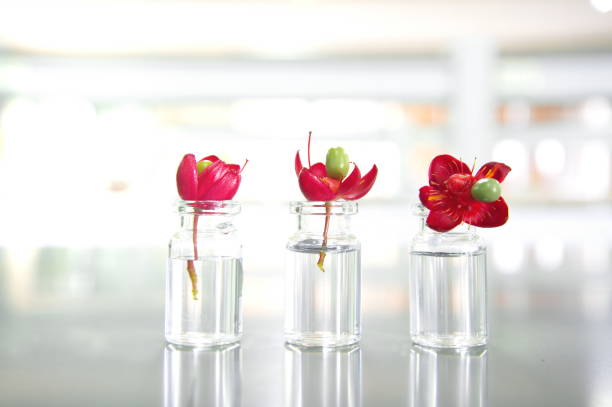 istock three summer red flower and vial in science laboratory 652188036