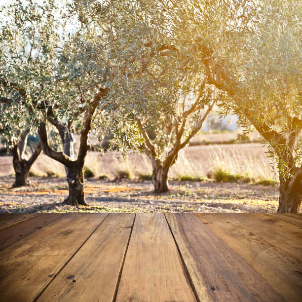 tavolo in legno vuoto all'aperto - spanish olive foto e immagini stock