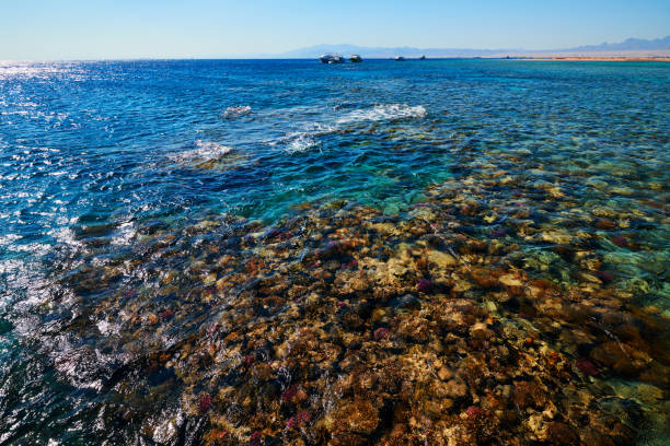 istock sea side in tropical day 652188444