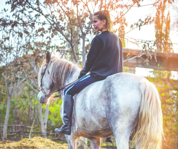 молодая красивая брюнетка девушка едет лошадь без седла с хакамор. теплый и солнечный осенний день. - bareback стоковые фото и изображения