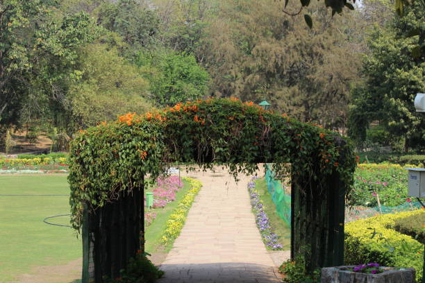 istock Lodhi Garden, New Delhi 652191856