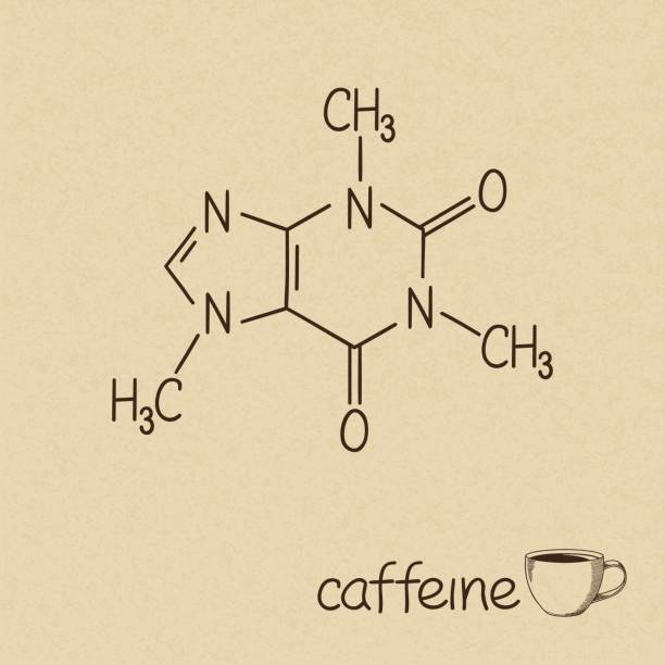 Caffeine Hand drawn chemical model of caffeine molecule and cup of coffee caffeine molecule stock illustrations