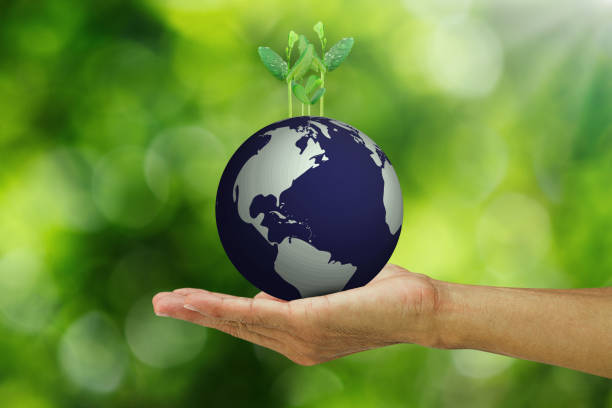 istock Hand holding growing sprouts from globe on blurred bokeh background 652195598