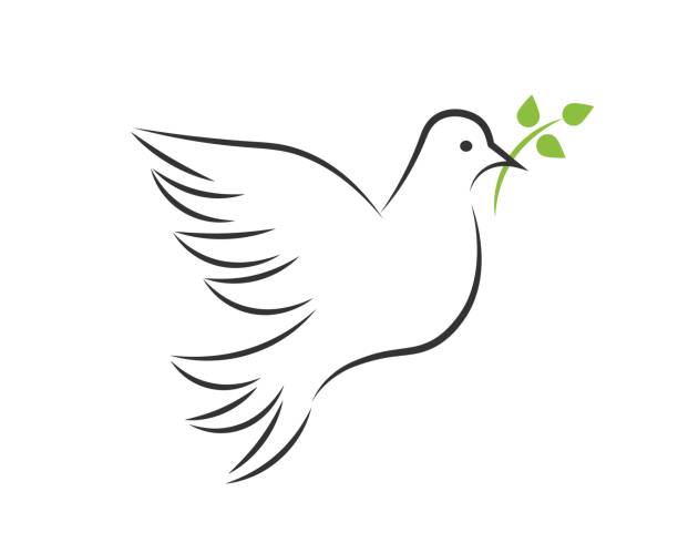 Dove with branch White dove made of lines with green branch and leaves whitsun stock illustrations