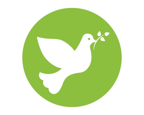 White dove icon White dove with branch as religion concept and symbol. Green icon in flat design. whitsun stock illustrations