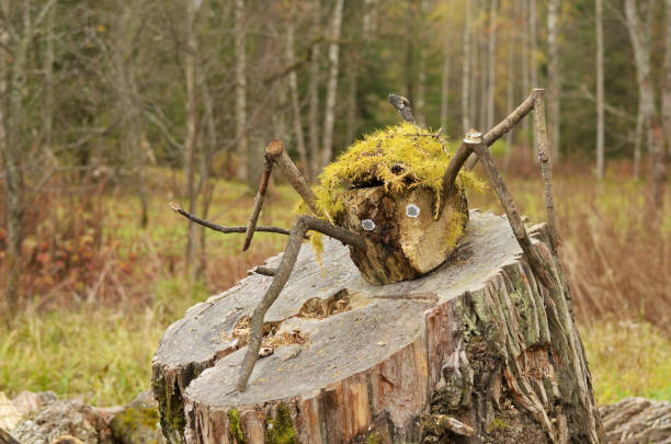 The spider climbed up on a stump and settled down to rest.