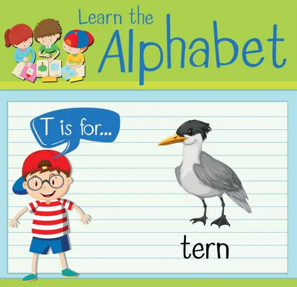 Vector illustration of Flashcard letter T is for tern