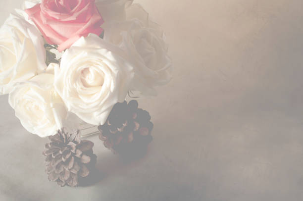 istock rose flowers close up on background. 652214096