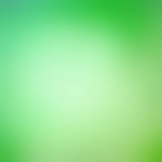 istock Beautiful green pastel background 652214482