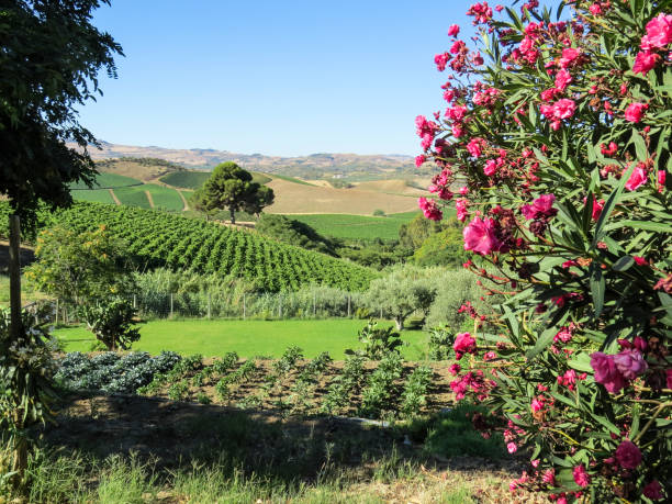 Landscape in the Sicilian countryside - Italy stock photo