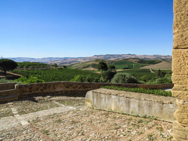 Tasca D'Almerita - Tenuta Regaleali - Sicily - Italy stock photo