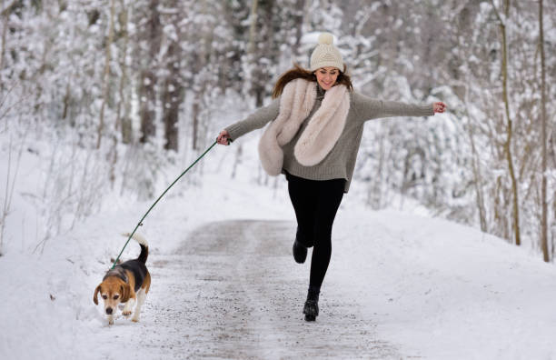 istock Happy woman walking/ running with beagle dog winter walk path 652232662