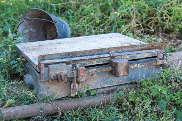 The old scales platform commodity  with zinc bucket on grass