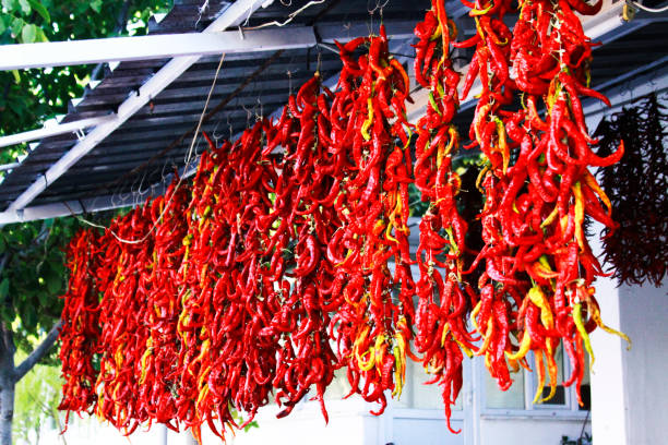 istock sun dried red chilli peppers on rope 652237798