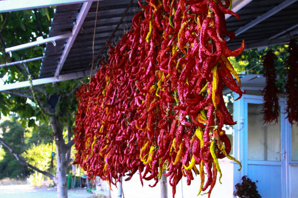 istock sun dried red chilli peppers on rope 652237818