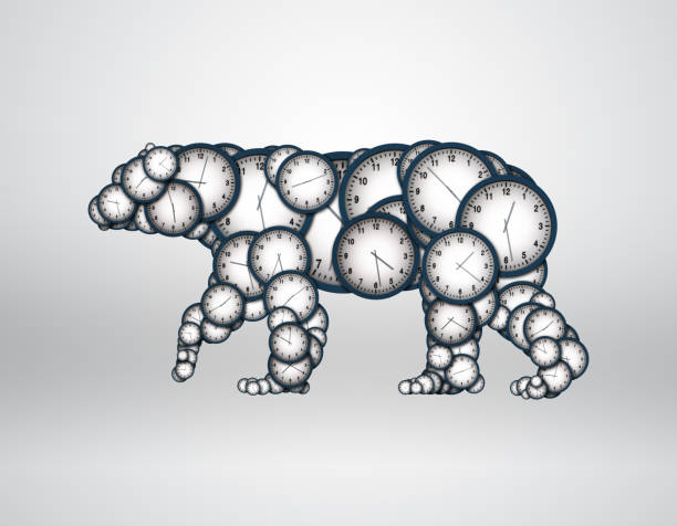 Watch the composition of the bear