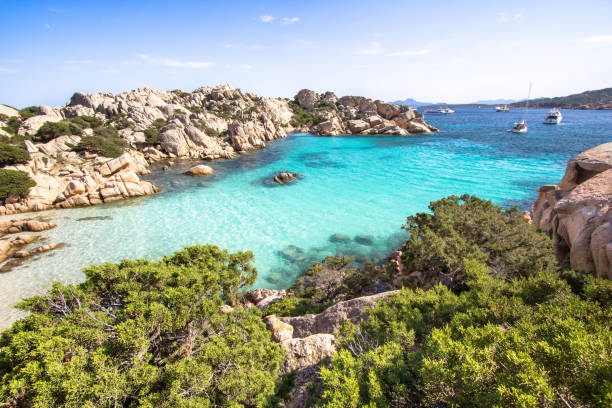istock Beach of Cala Coticcio, Sardinia, Italy 652252080