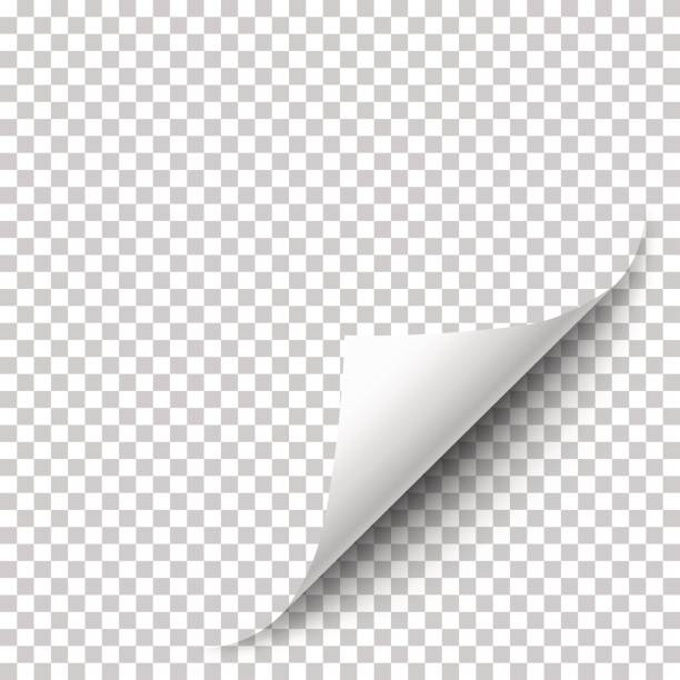 ilustrații de stoc cu vector realist colț de hârtie albă - întoarcere