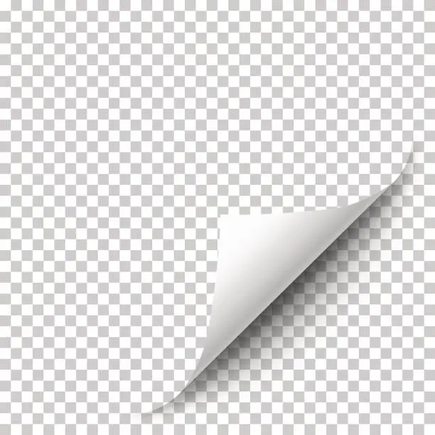 Vector illustration of Vector realistic white paper corner