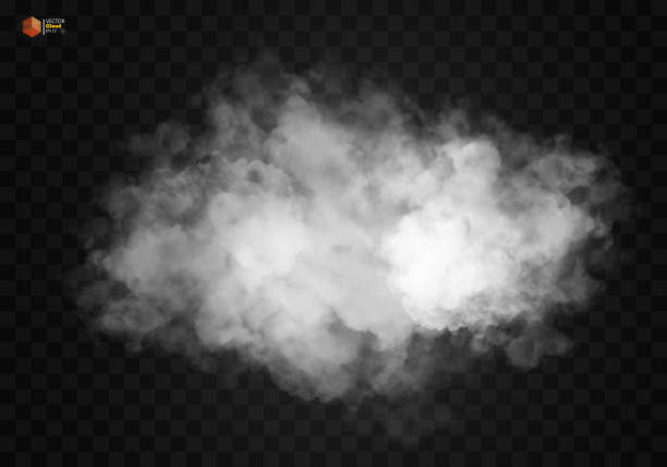illustrazioni stock, clip art, cartoni animati e icone di tendenza di nebbia o fumo isolato effetto speciale trasparente - great smoky mountains illustrations