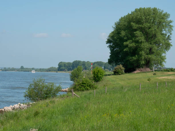 170+ Rees Germany Stock Photos, Pictures & RoyaltyFree Images iStock